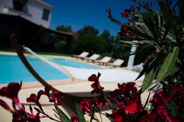 אולמדו Villa Silvia Apartment מראה חיצוני תמונה